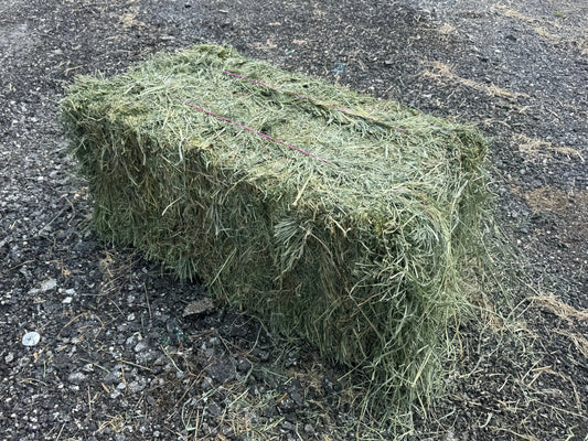 Western Second Cut Timothy